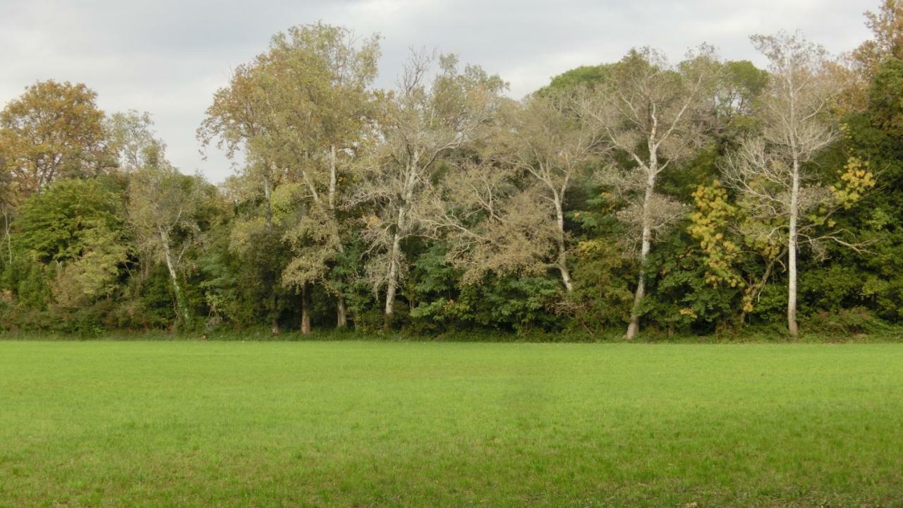 Gite Du Gardien Saint-Martin-de-Crau Exterior photo